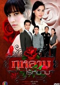 Роза без шипов