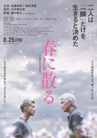 Опасть весной