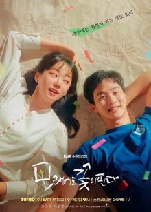 Цветы расцветают даже на песке