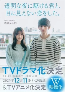 Любовь под ясным ночным небом